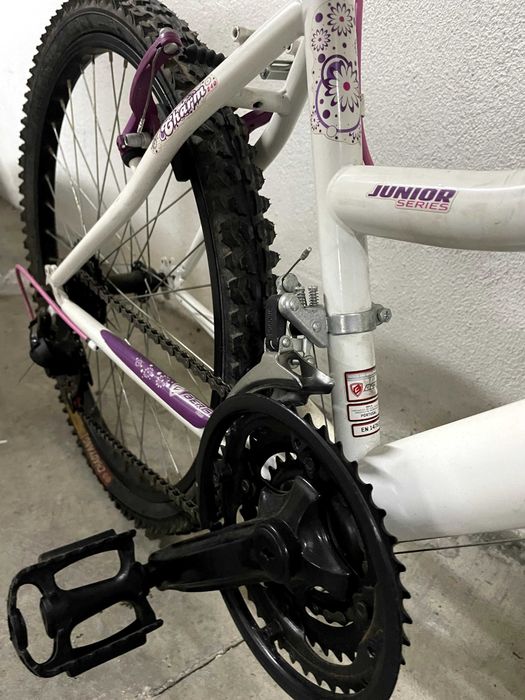 Bicicleta menina 7 a 10 anos