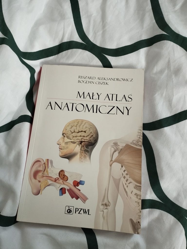 Mały atlas anatomiczny