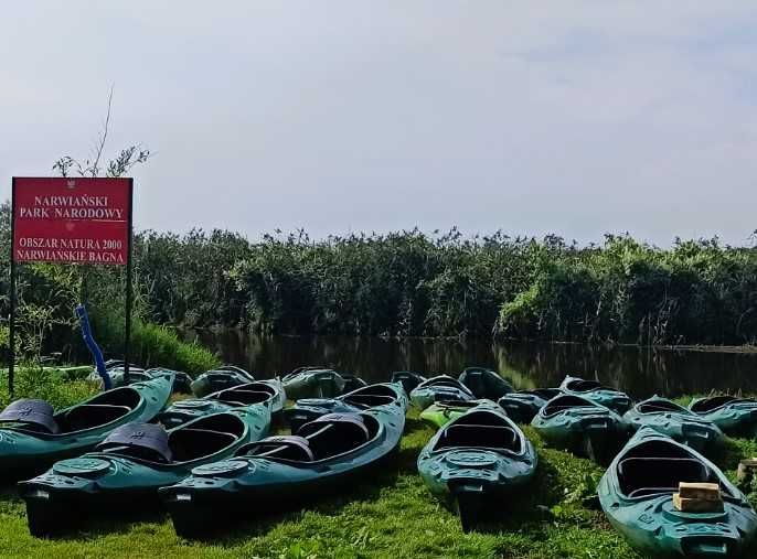 Wypożyczalnia kajaków, Spływy kajakowe rzeką Narew, Kajakiem po Narwi
