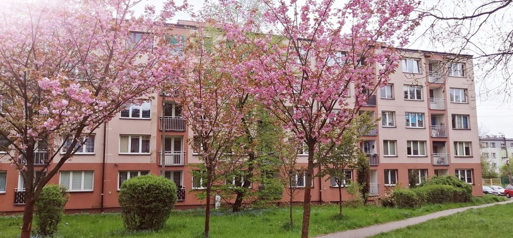 W pełni wyposażone 2 pok. Blok C.O. Szombierki