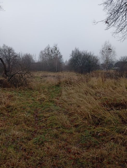 Земельна ділянка