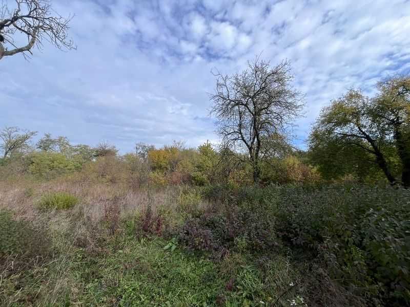 Оренда ділянки під заклади освіти 4га смт.Батьово