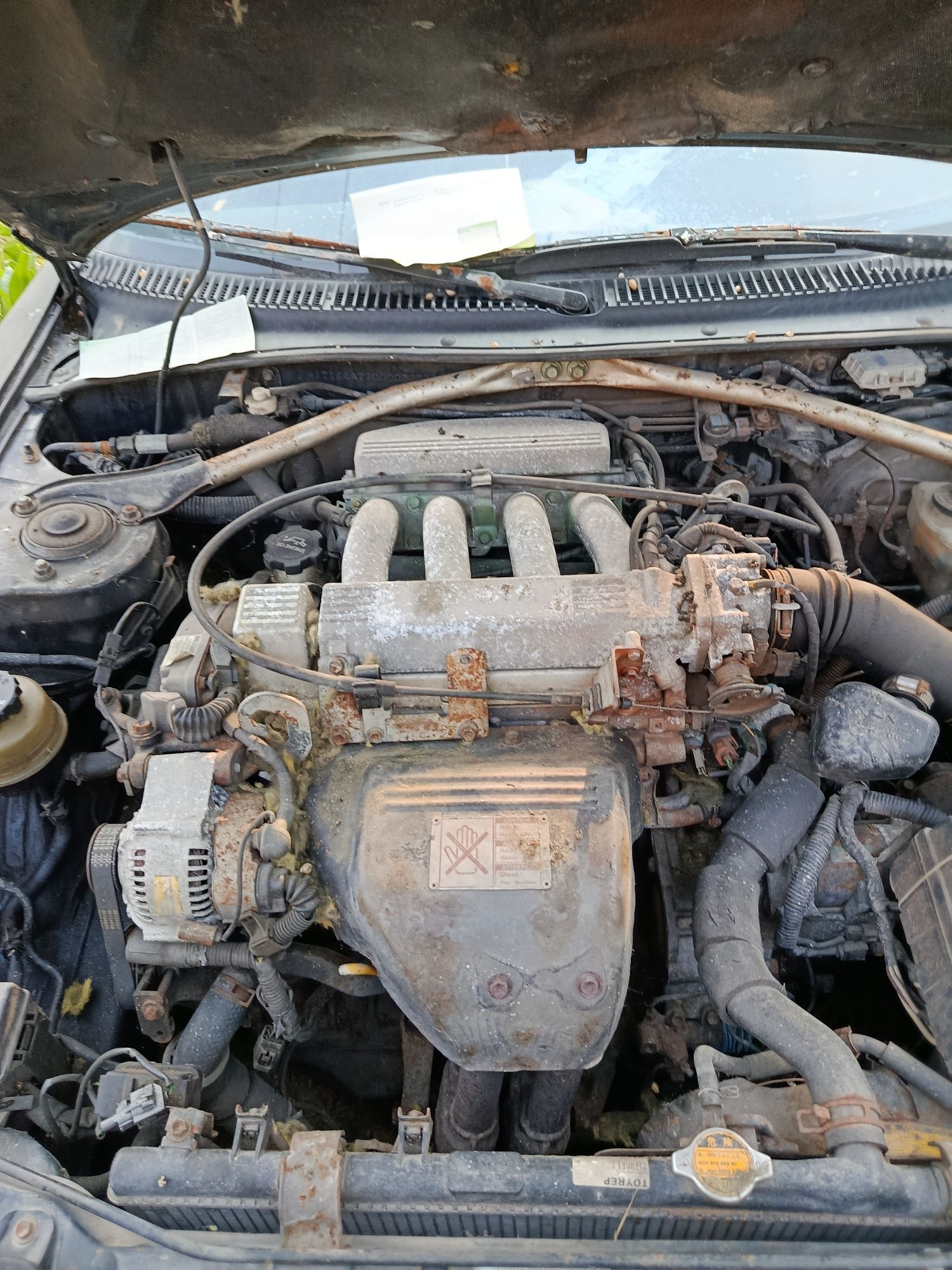 Maltinha dos Toyotas celica 2000cc