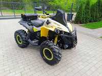 Can-Am Renegade 1000r 2019r