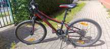 Rower dziecięcy Giant 24 "