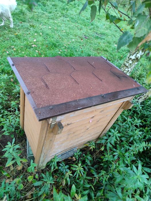 Ule warszawskie poszerzane