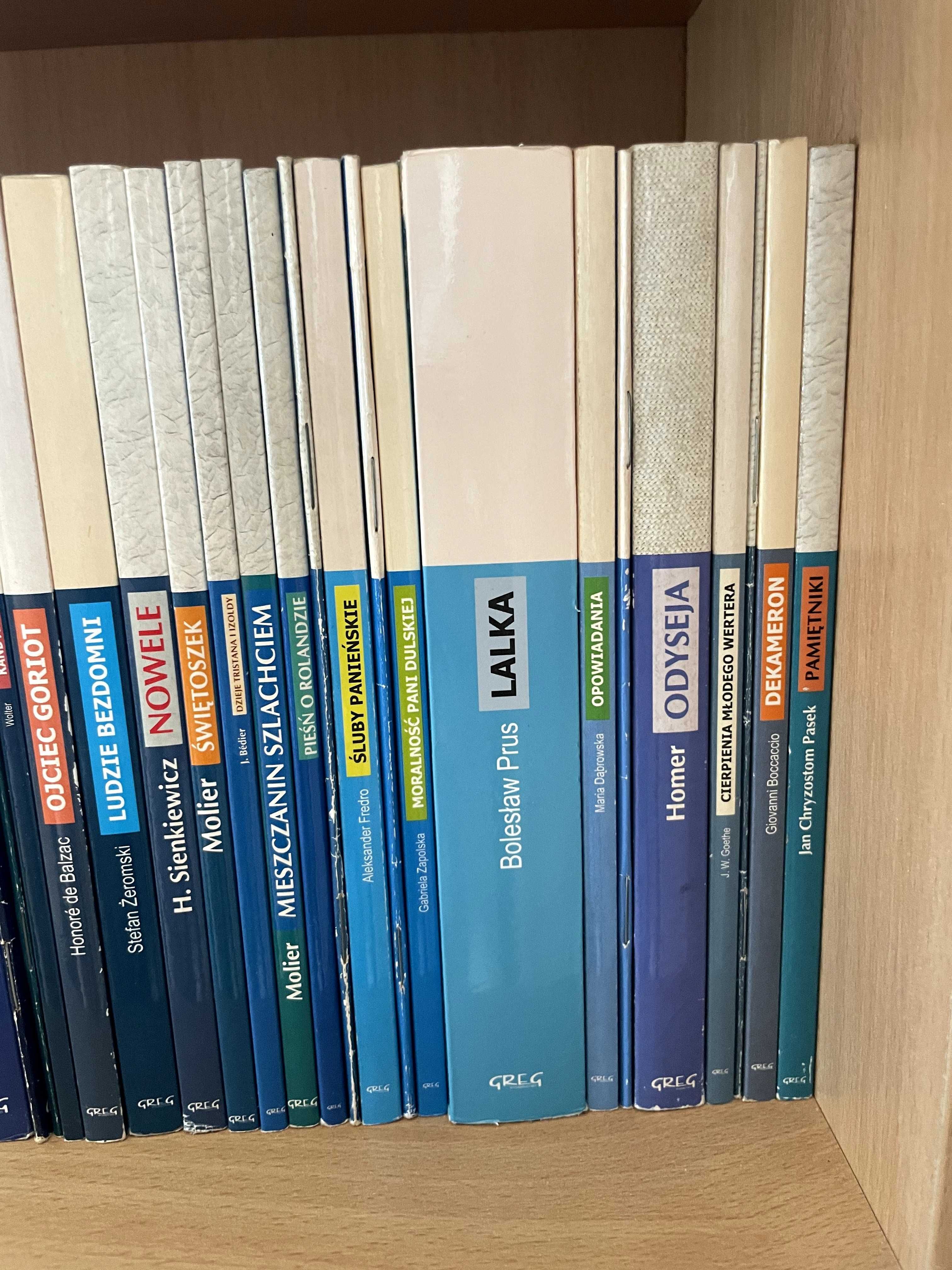Kolekcja Lektury GREG 107 książek lektur szkoła średnia biblioteka