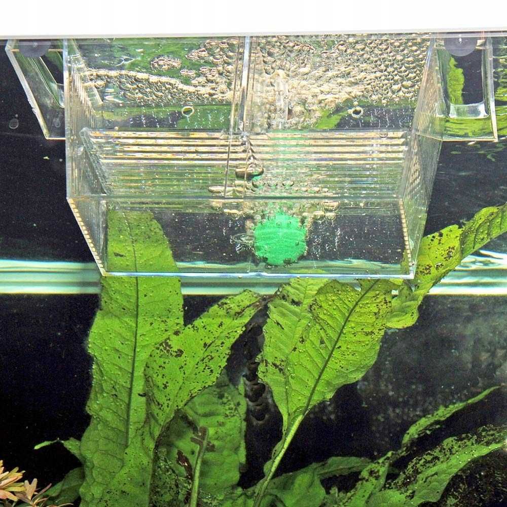 Pływający kotnik do akwarium plastikowy gupik mieczyk malezyjczyk S