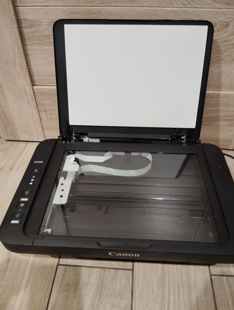 Drukarka Canon PIXMA MG2550S