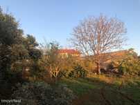 Terreno para construção , Cernache