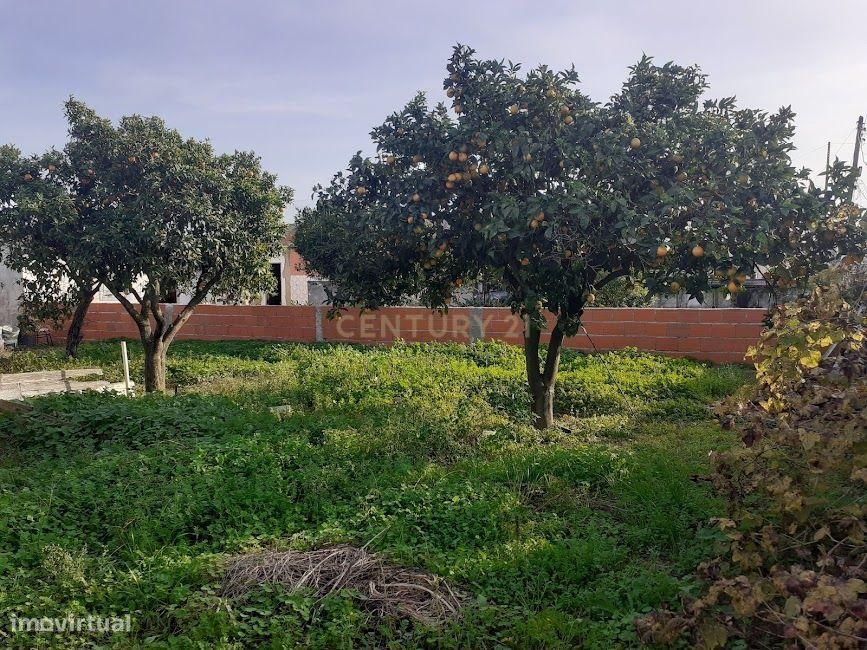 Lote de Terreno Urbano