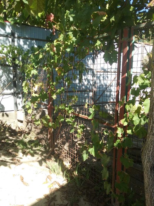 Металева огорожа з кал!ткою секц!!