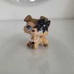 Lps pop unikat collie #893