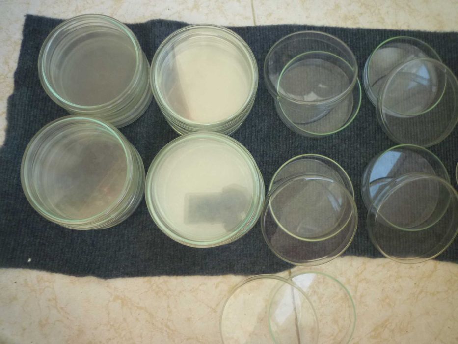 Placas de Petri  de vidro borosilicato 100mm,  80 mm, 70 mm