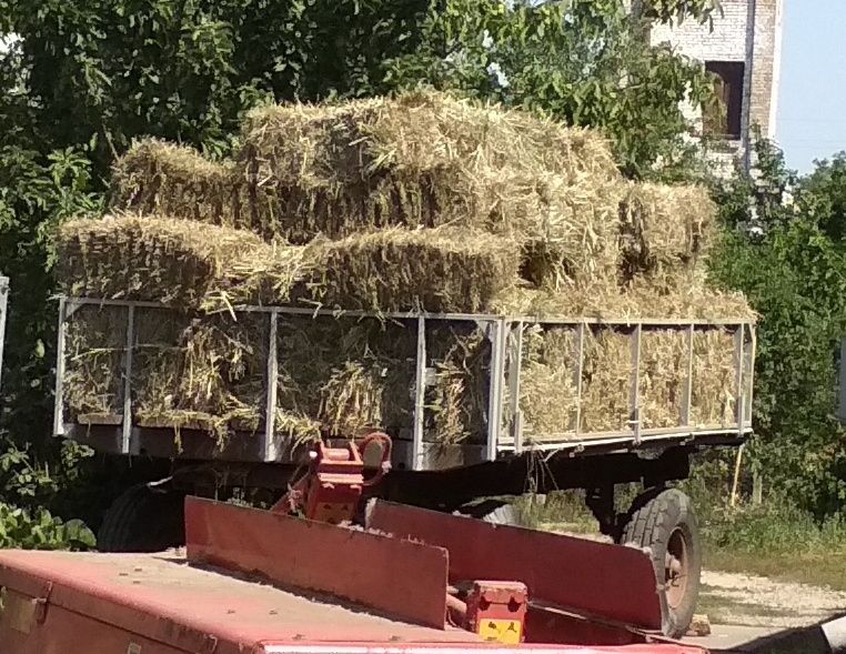 Сіно лугове, Солома ячна і пшенична, Сено