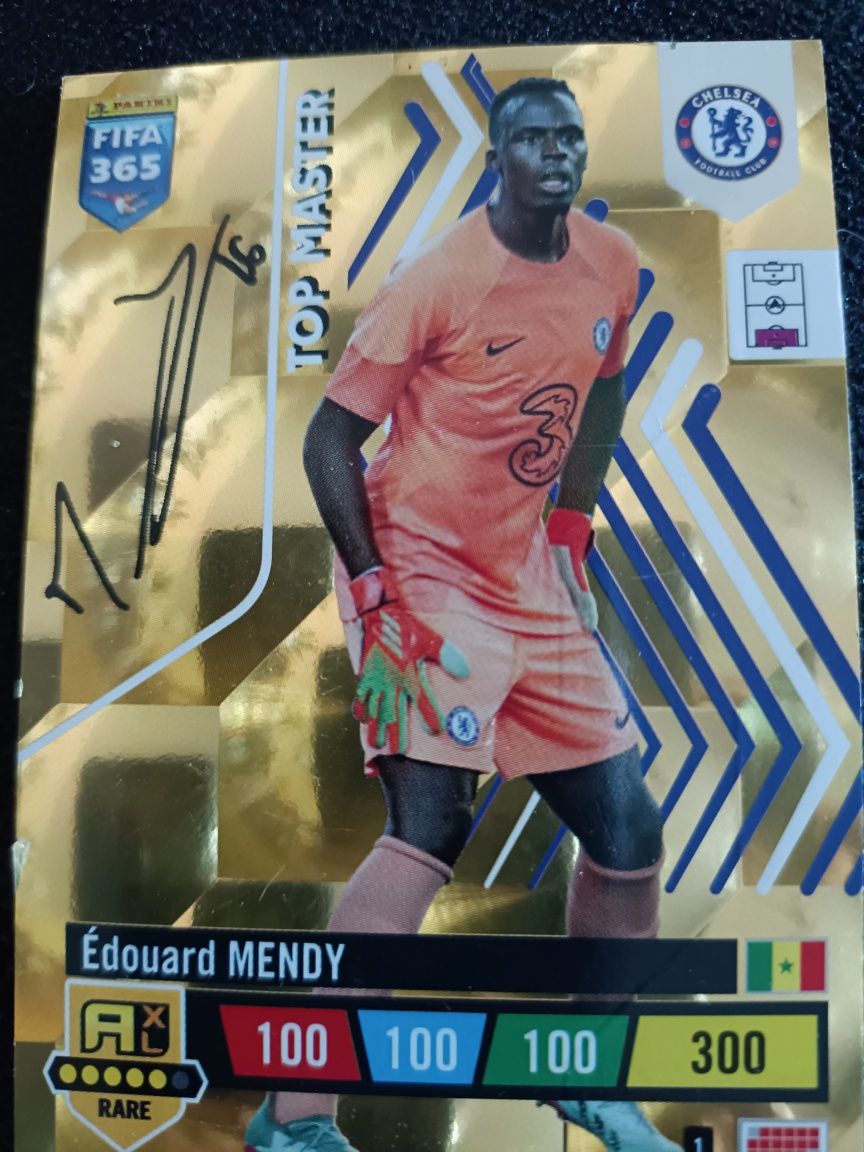 Top Master Edouard Mendy