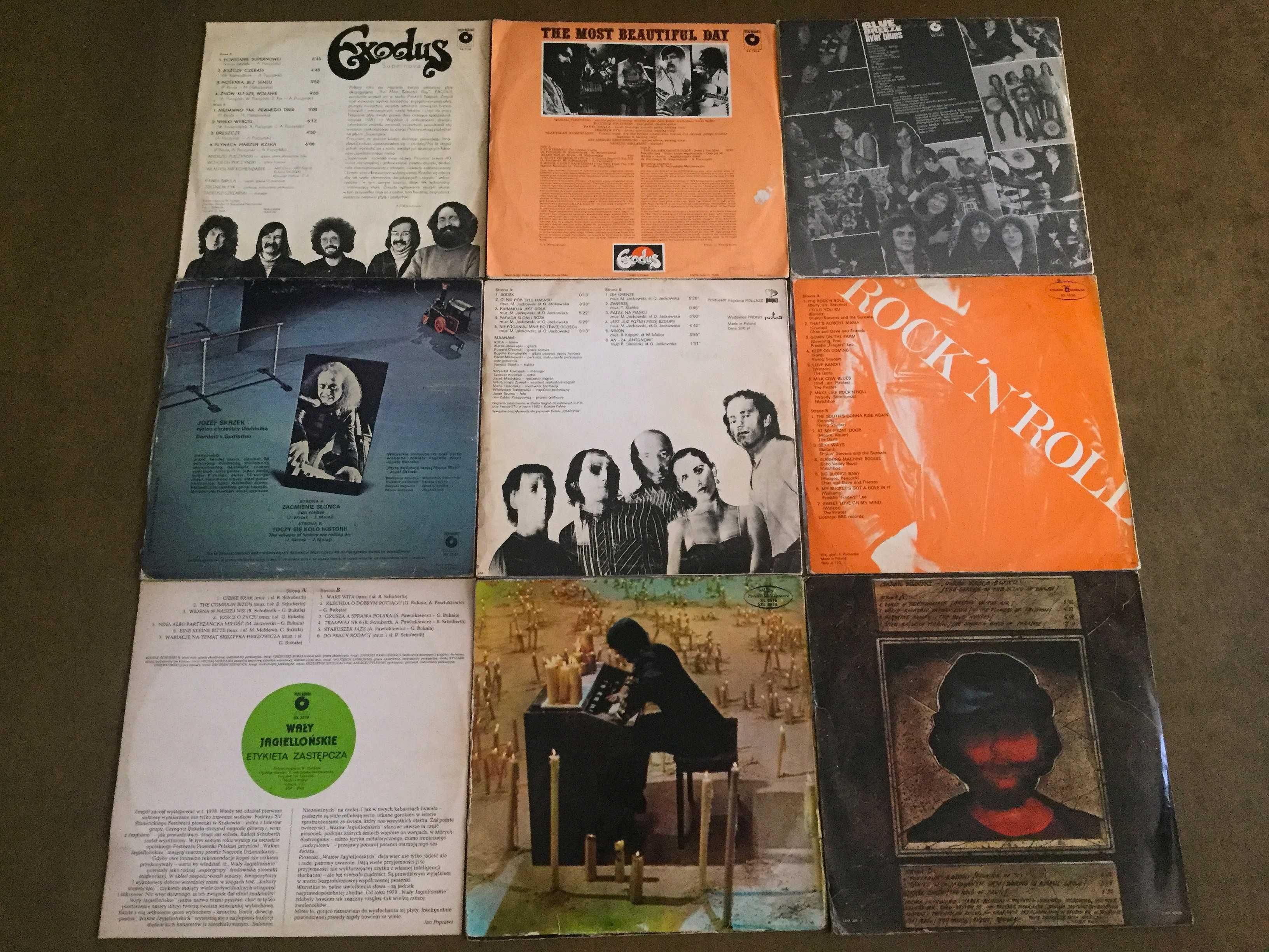 Maanam, Niemen, Biliński, Rock, Blue - Zestaw 9LP TANIO