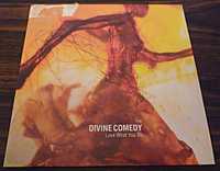 CD «The Divine Comedy - Love What you do»