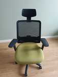 Fotel ergonomiczny Kulik - Pistacjowy kolor siedziska