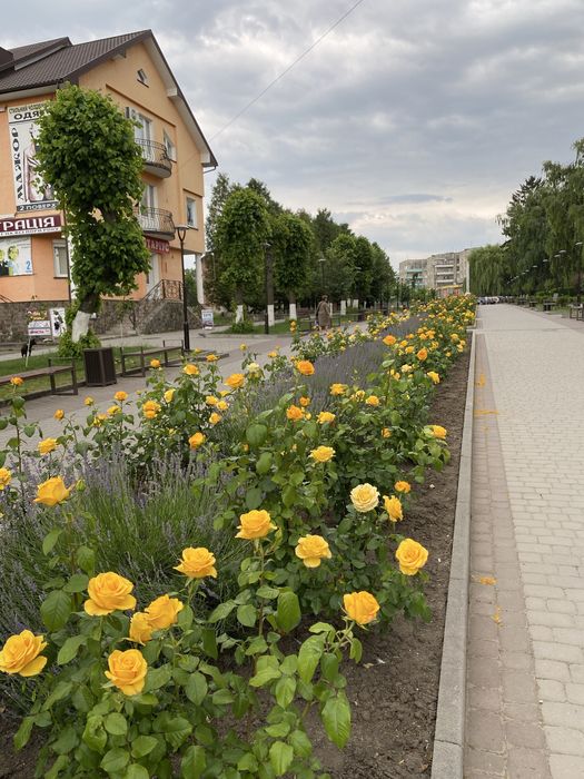 Продаж будинку в мальвничому містечку