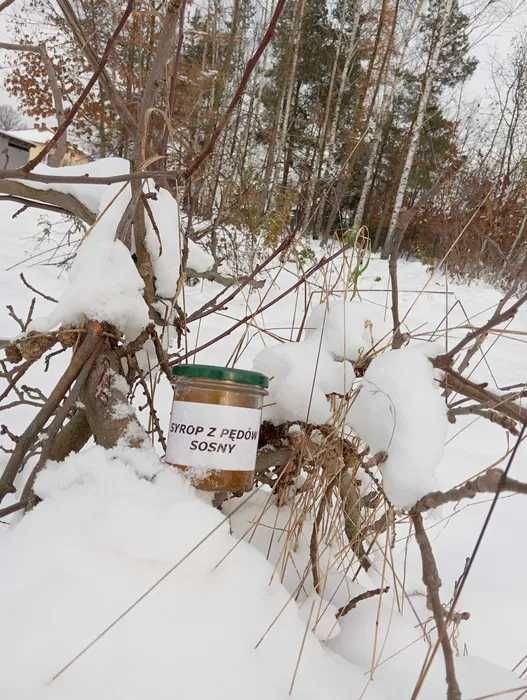 DOMOWA SPIŻARNIA Syrop z pędów sosny 300ml