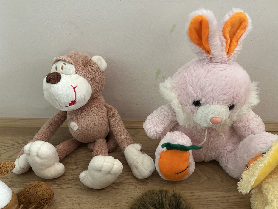 Баранчик, собака, іжачок, заєць, мавпа