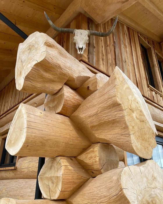 Дикий зруб, будинки з дикого зрубу, будинок з дерева