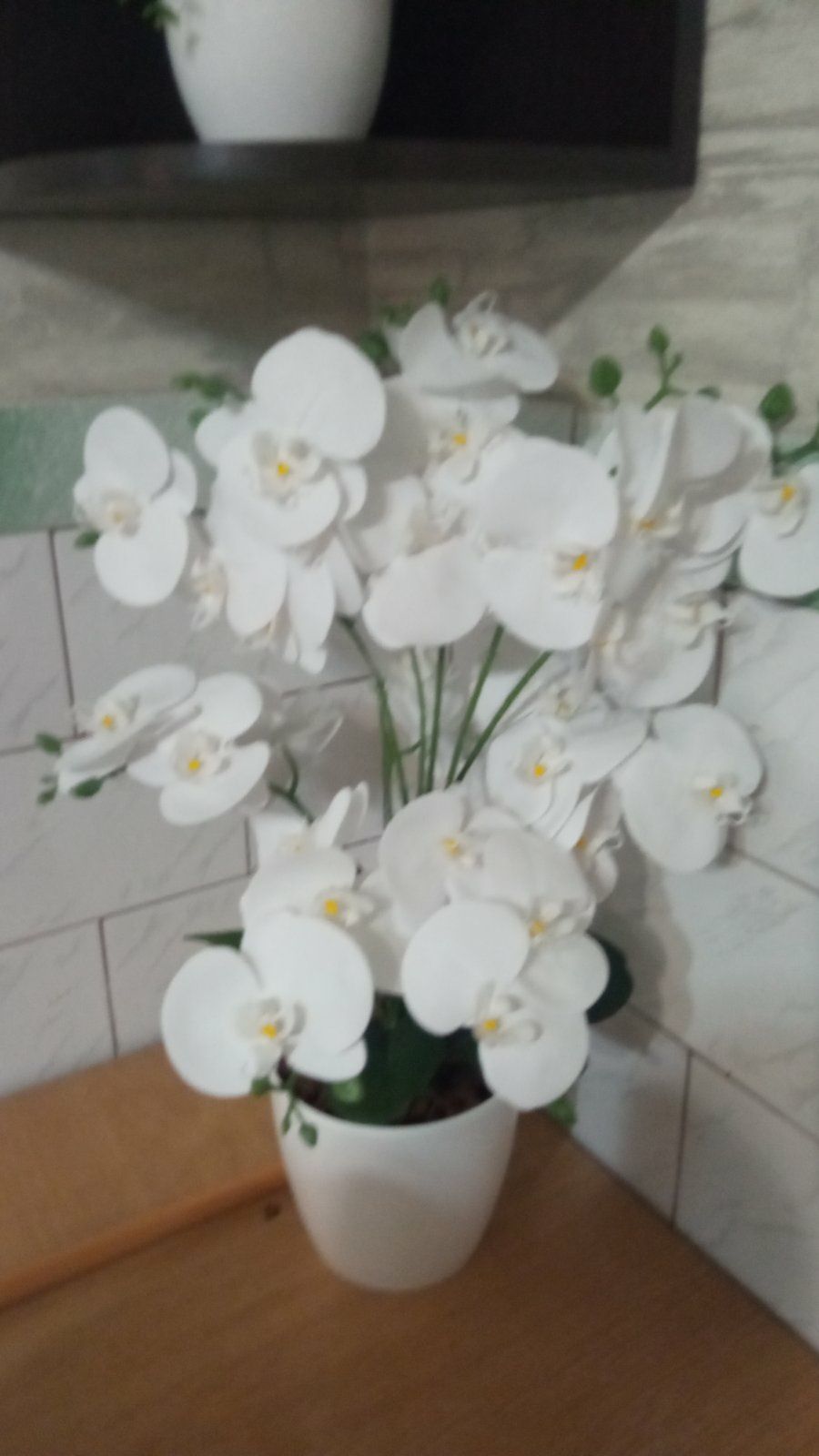 Орхідеї декоративні. Чудовий подарунок