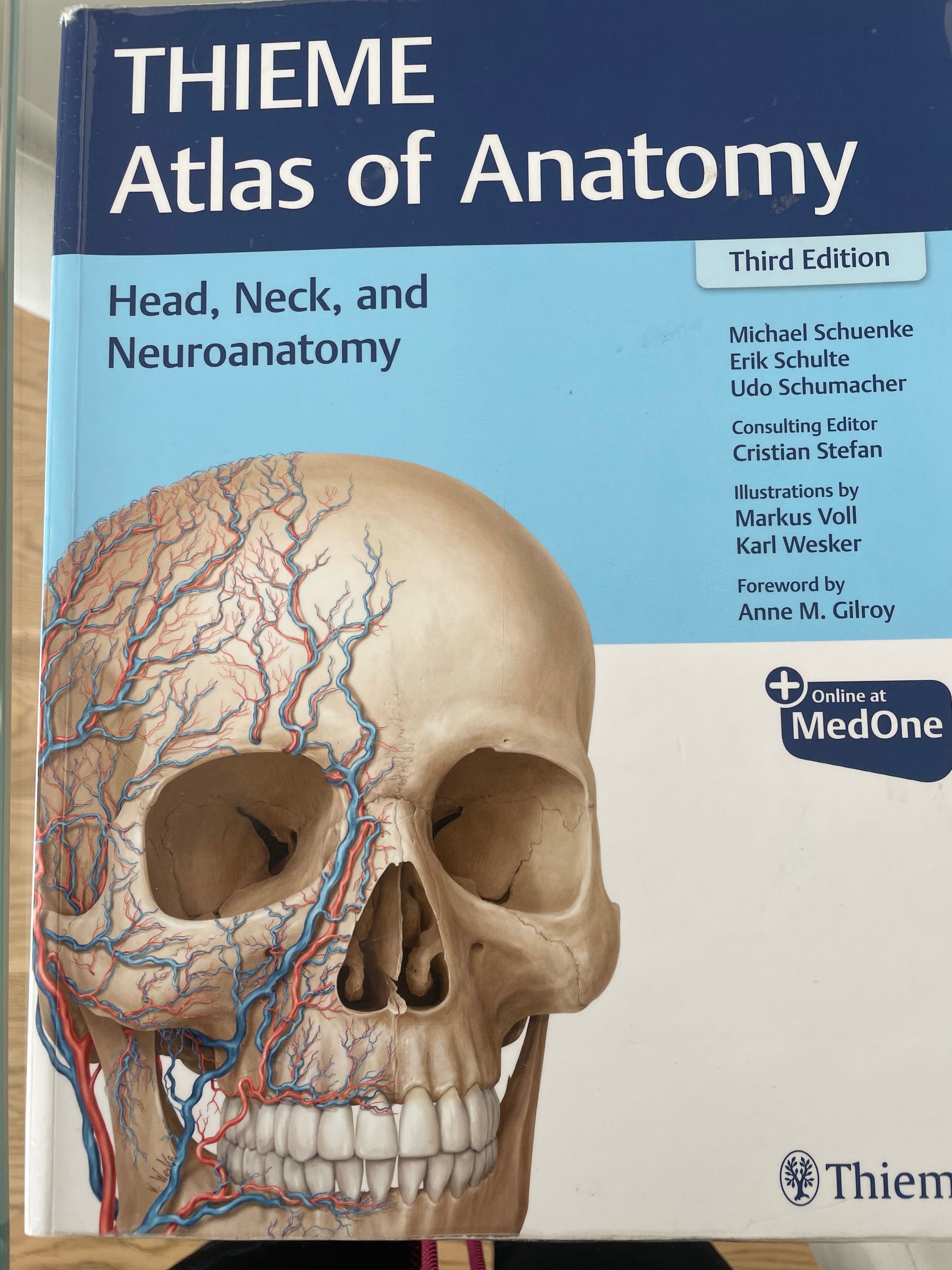 Thieme - atlas de anatomia