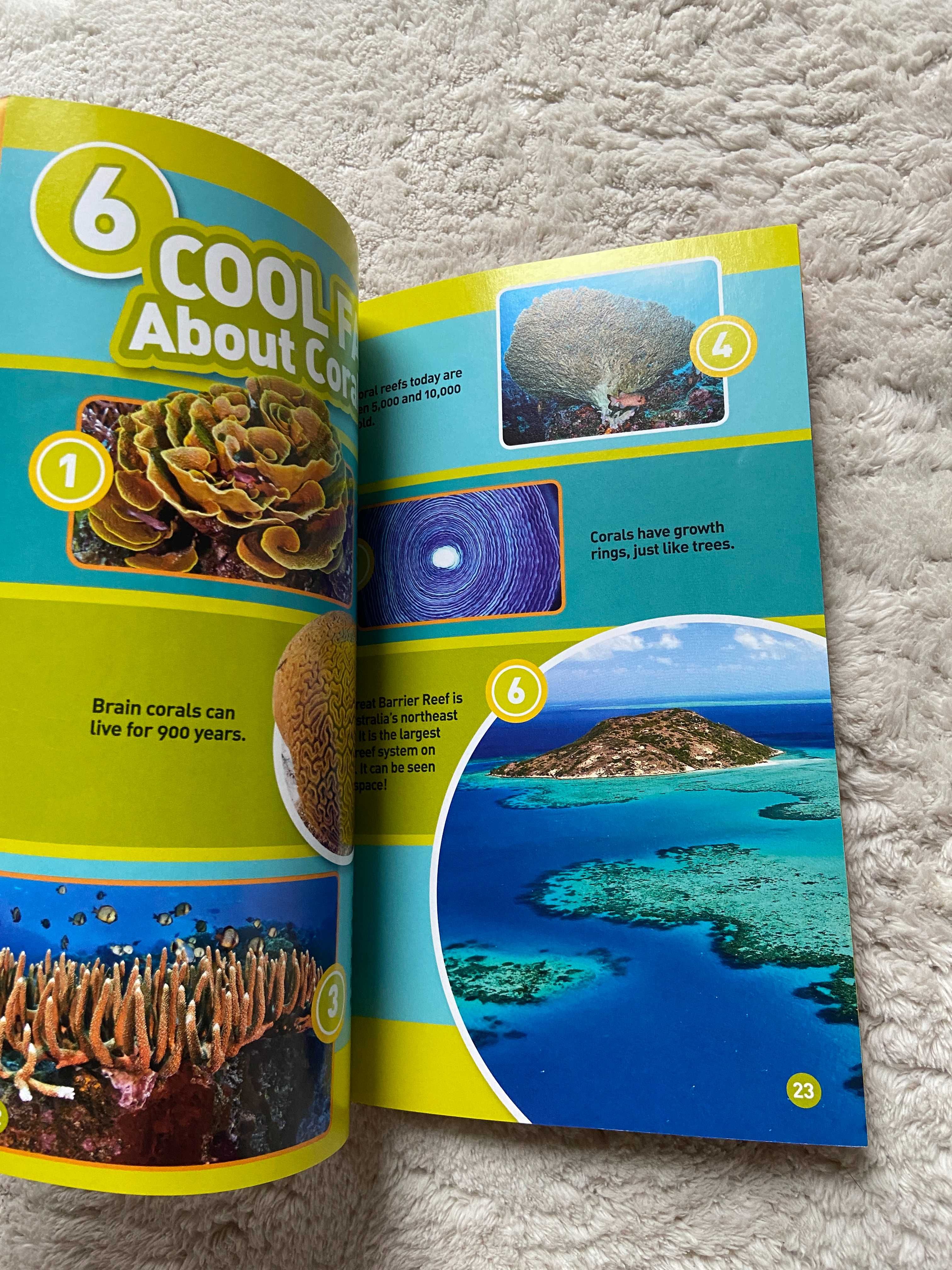 Seria 3 National Geographic Pyramids L1 Coral Reefs L2 Whales L3