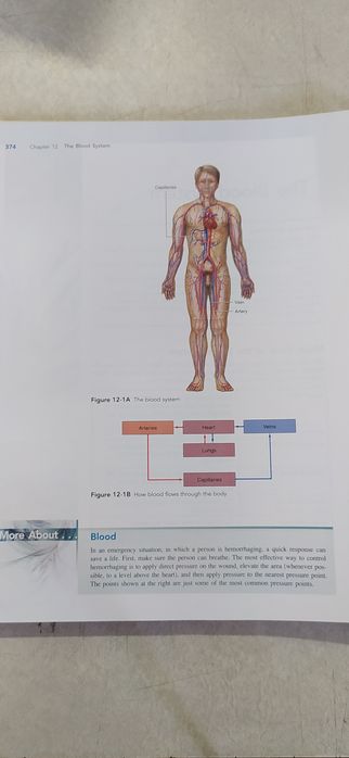 Медична термінологія / Medical Terminology by  Paula Bostwick (author)