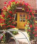 NOWA Pergola ogrodowa 240cm w SUPER cenie