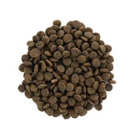 Корм для котов Brit Care Cat STERILIZED SENSITIVE 2кг Термін 12,25