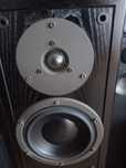 Głośniki Dynaudio Contour 1.3