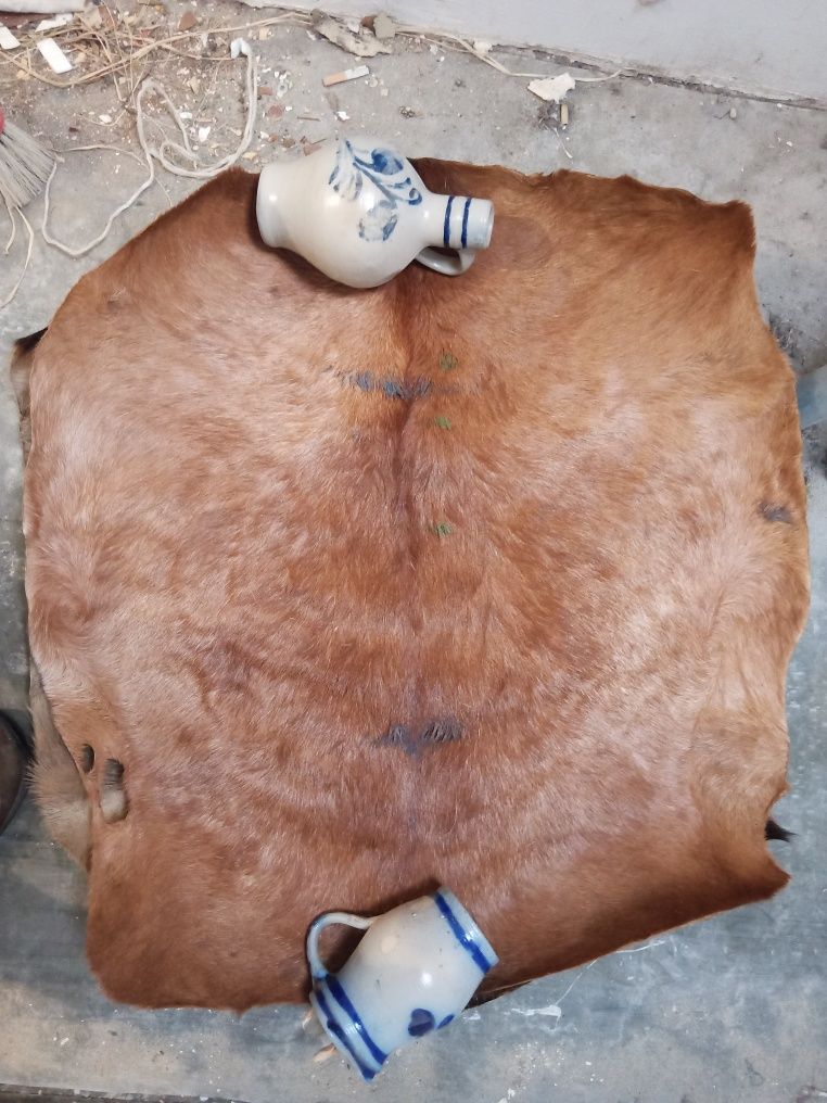 Skóra kozia na djembe - Afryka zachodnia