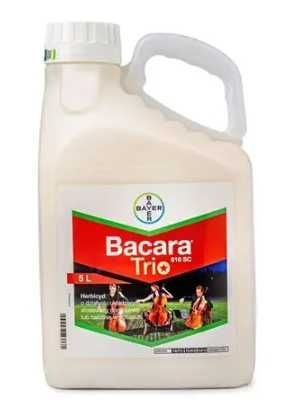 Bacara Trio Expert met
