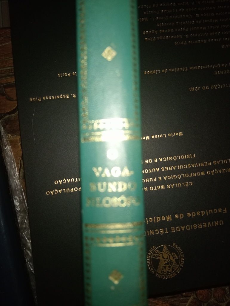 O vagabundo filosófico Máximo Gorki Encadernado