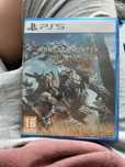 Monster hunter wilds