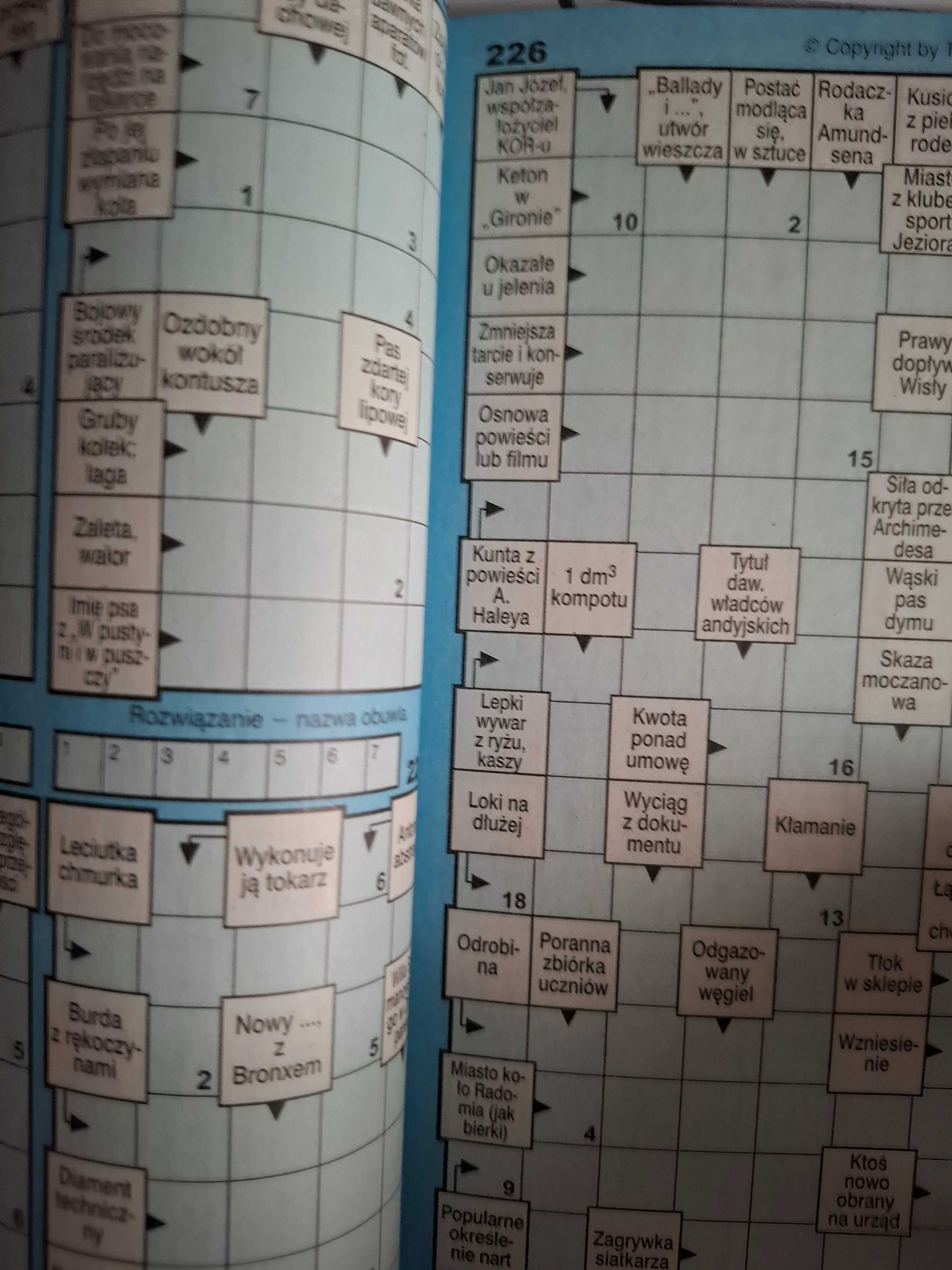 Technopol 500 Panoramicznych Krzyżówka Łamigłówka Puzzle Sudoku