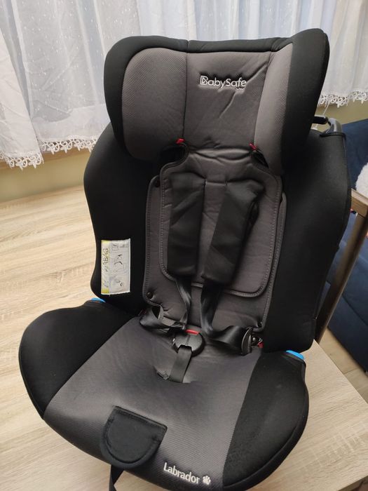 Fotelik samochodowy Baby Safe Labrador