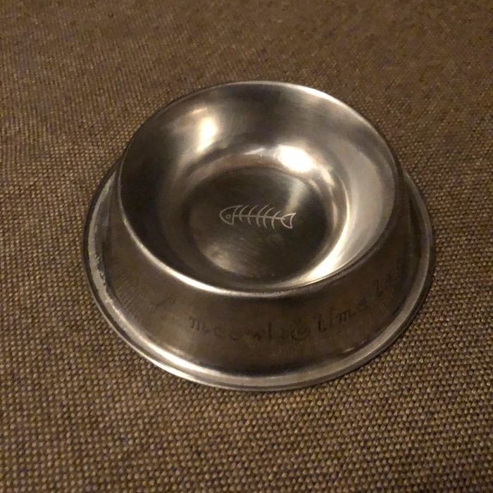 Acessórios para gato desde...