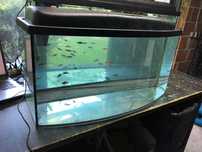 Akwarium 80 x 27 - 35 x 40