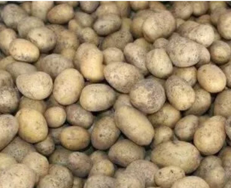 Продається  овес ячмінь домашня картопля
