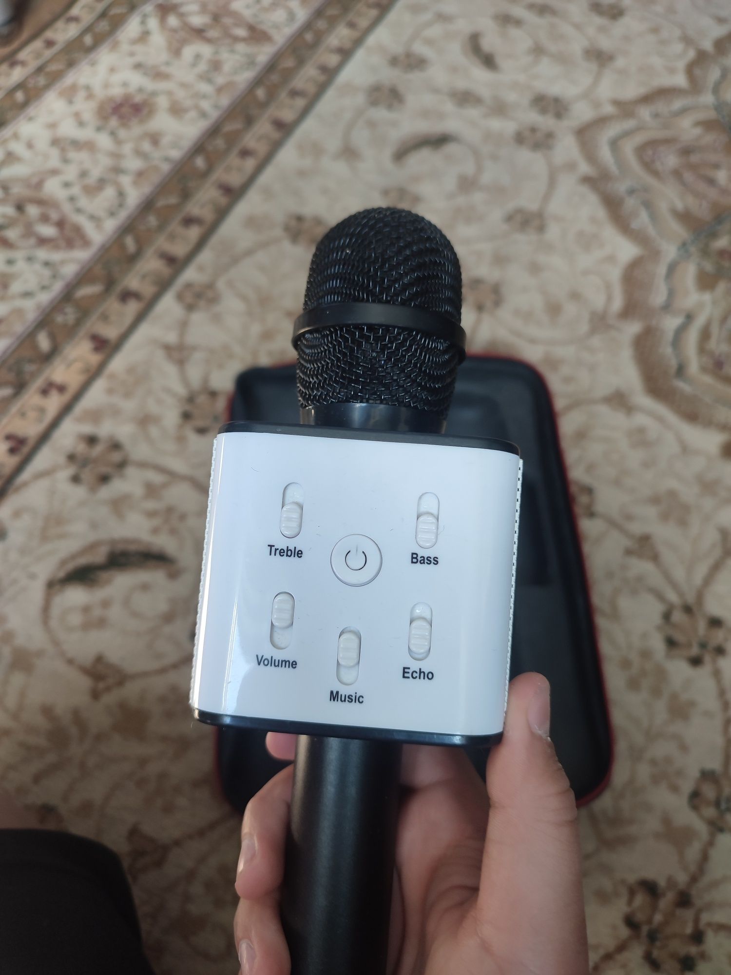 Mikrofon karaoke