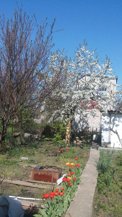 Продам дачу район Николаев  Сливено