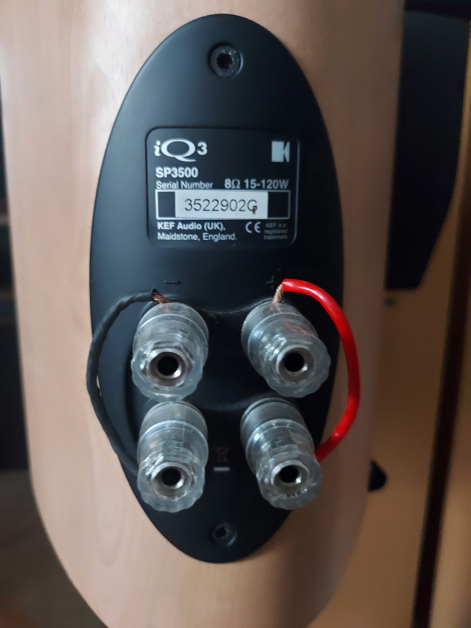 Kolumny monitory KEF IQ3