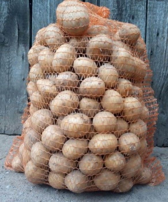 Ziemniaki jadalne dowóz