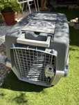 Casota/ Transportadora de animais (cães/gato)