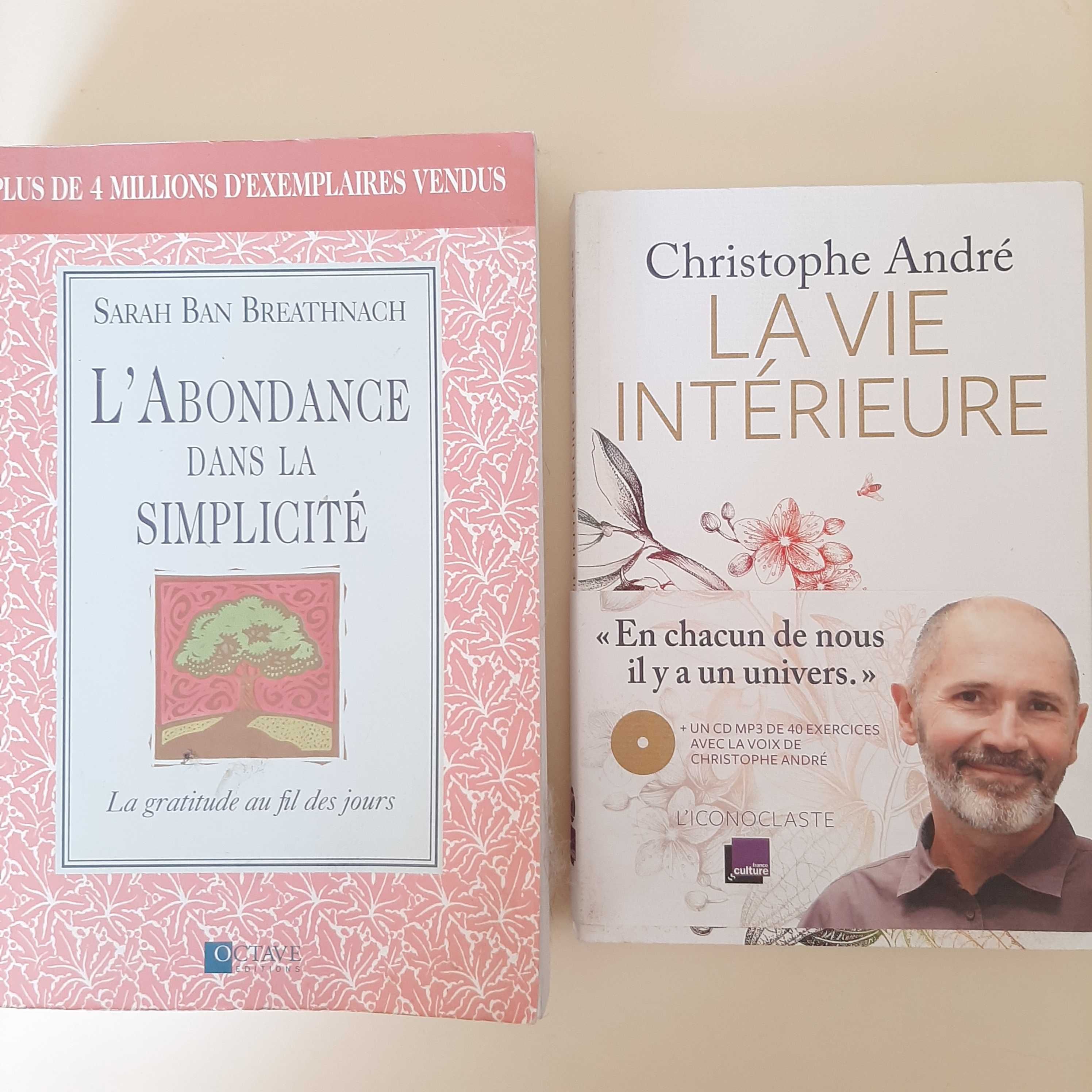 Livros sobre religião, espiritualidade e auto-ajuda em língua francesa