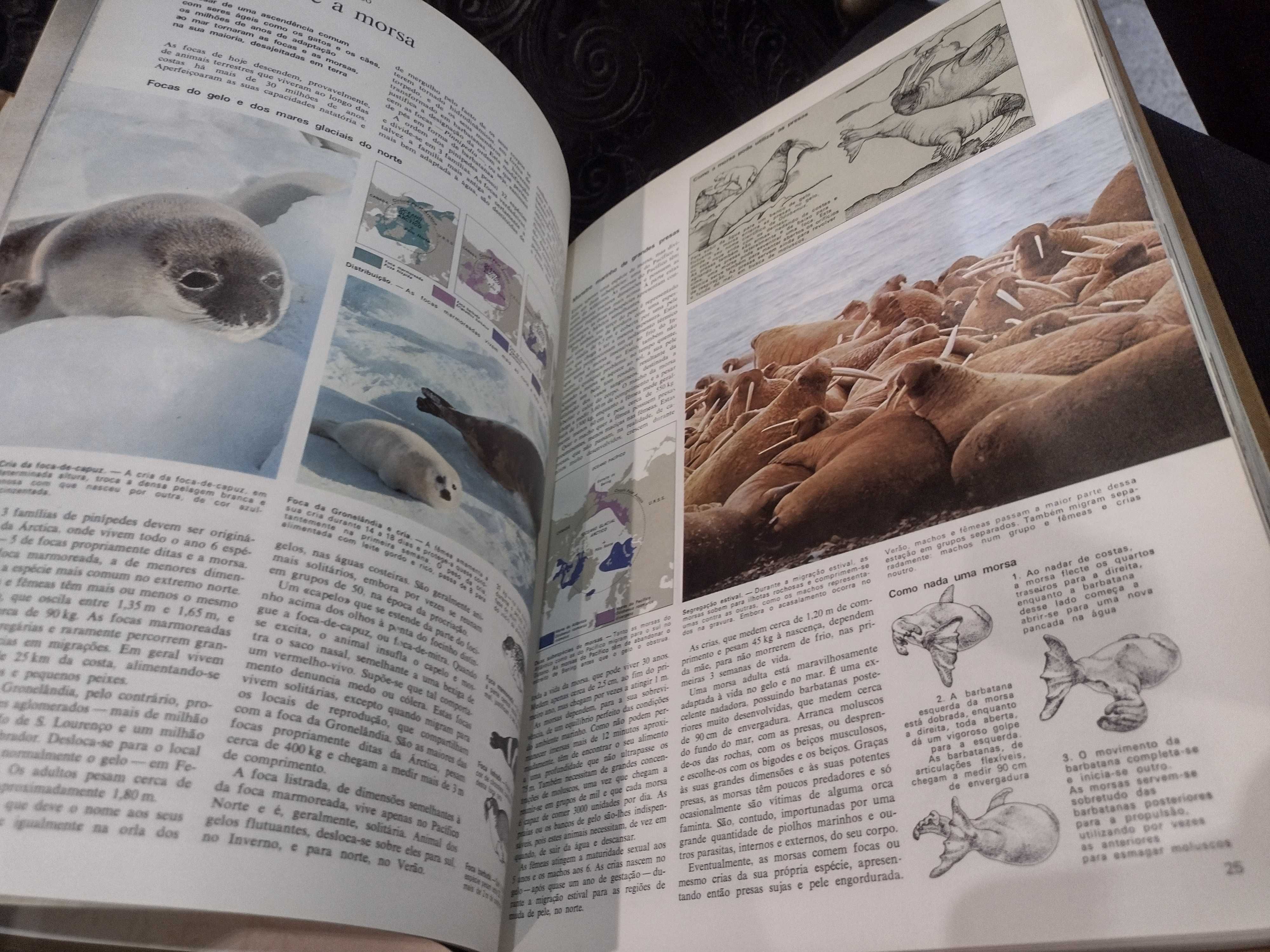 Livro Animais da Terra